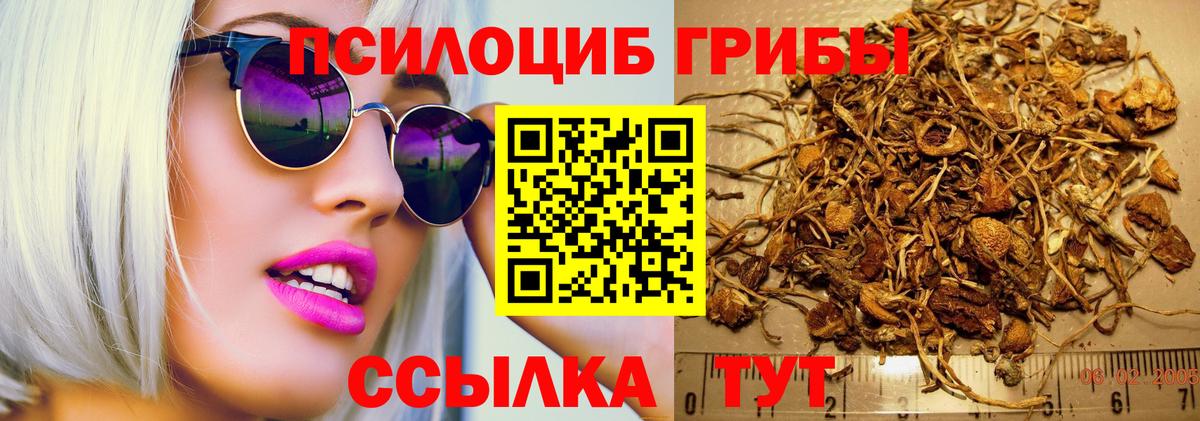 где найти   Псилоцибиновые грибы Psilocybe  Вход с VPN  Ухта 